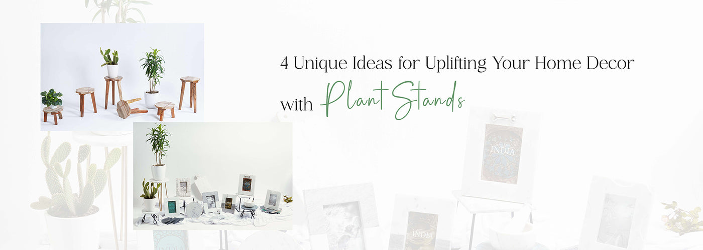 4 Unique Ideas for Uplifting Your Home Decor with Plant Stands