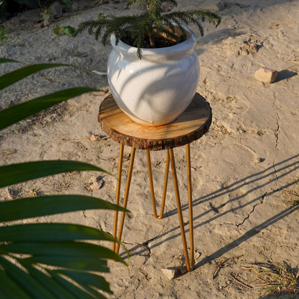 Wooden Bark Plant Stand