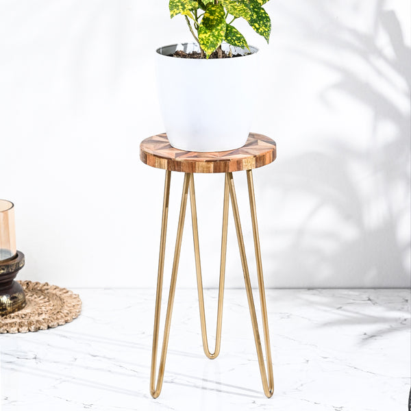 Ivy Perch Plant Stand
