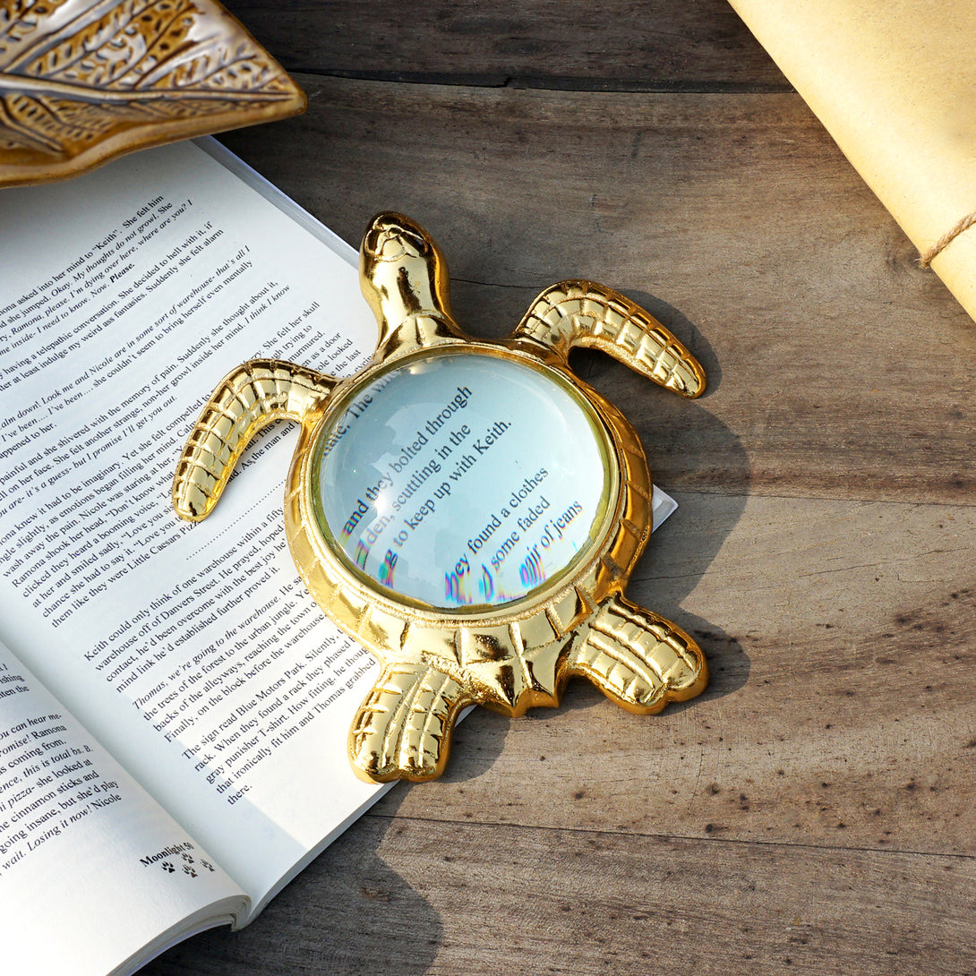 Sea Turtle Magnifying Glass