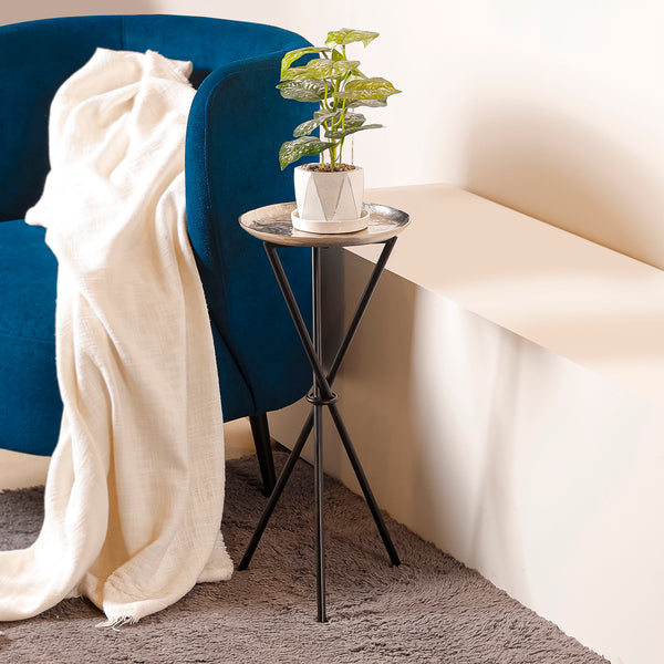 Silver Round Metal Plant Stand