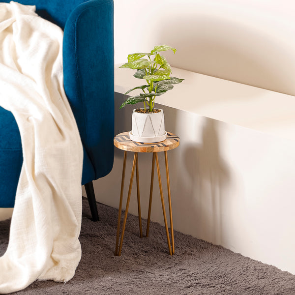 Chevron Plant Stand