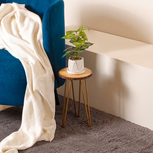 Wooden Bark Plant Stand – Rustic Natural Charm