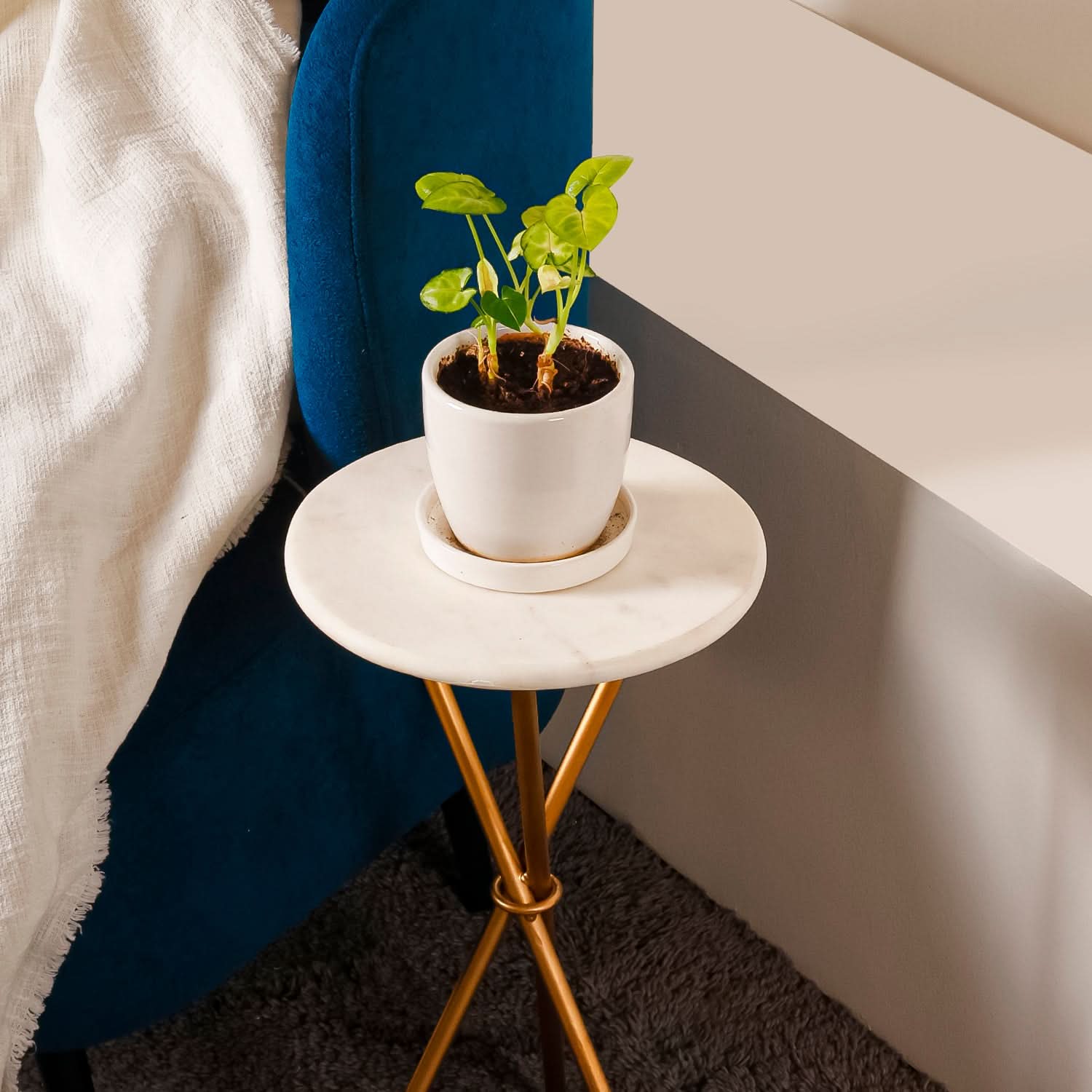 White Viridis Tri Stand – Gold