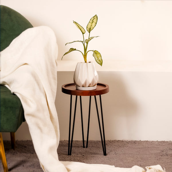 Brown Textured Plant Stand