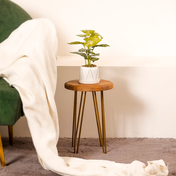 Wooden Plant Stand with Golden Metal Legs