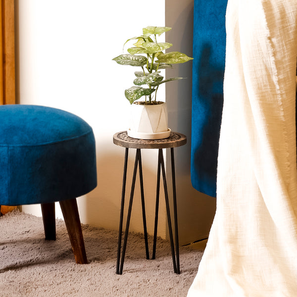 Carved Wooden Plant Stand with Metal Legs