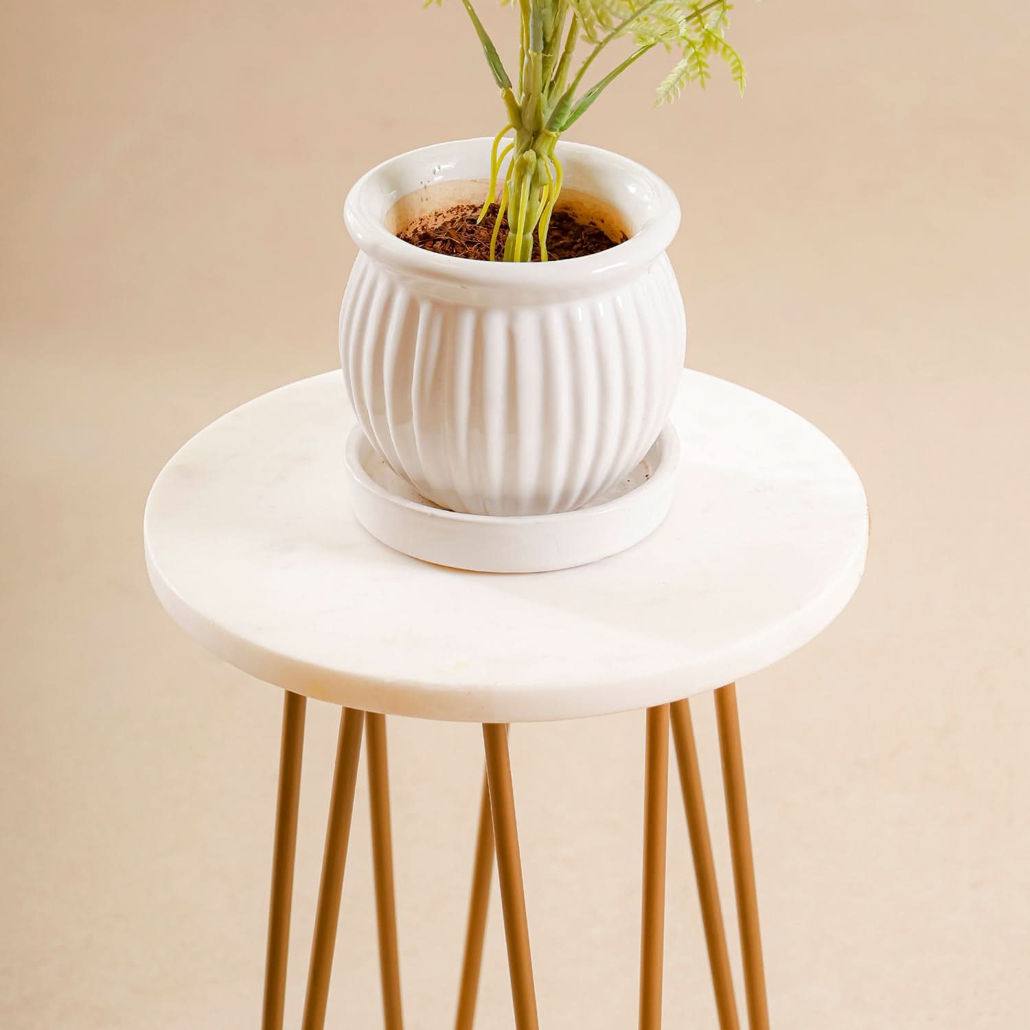 White Viridis Tripod Stand - Gold