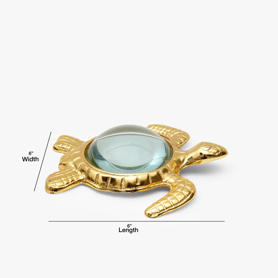 Sea Turtle Magnifying Glass