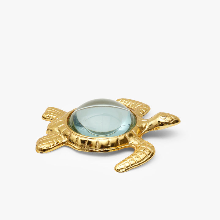 Sea Turtle Magnifying Glass