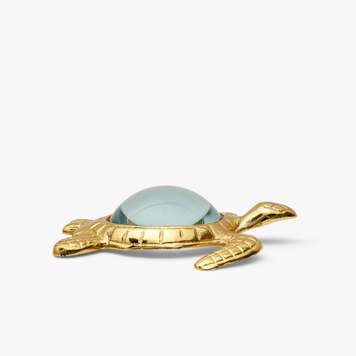 Sea Turtle Magnifying Glass