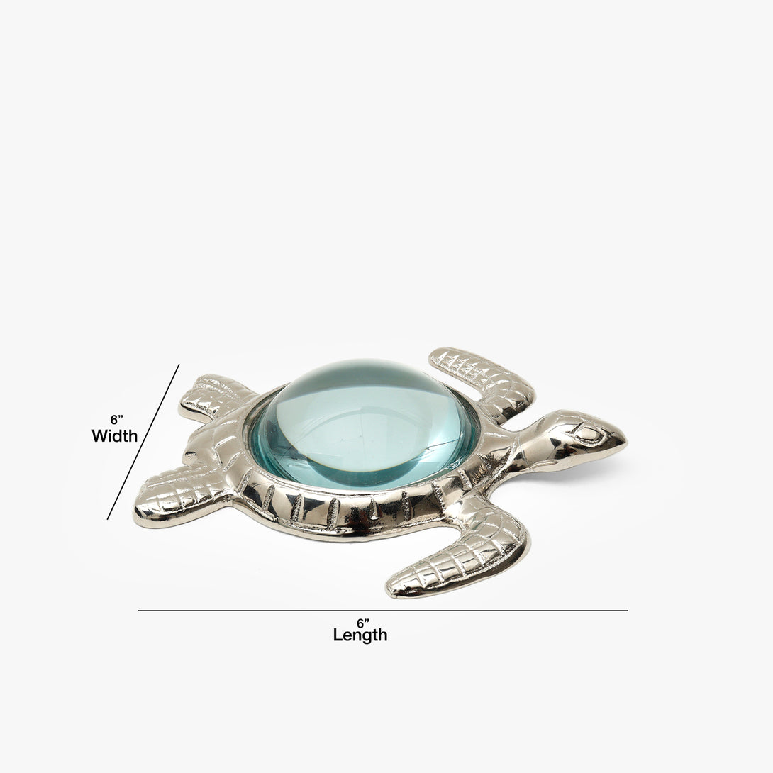 Sea Turtle Magnifying Glass