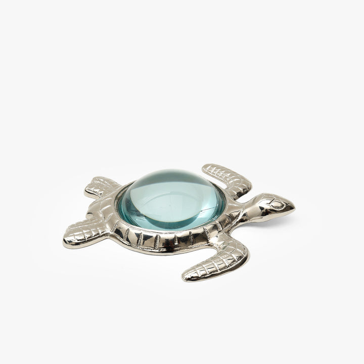 Sea Turtle Magnifying Glass