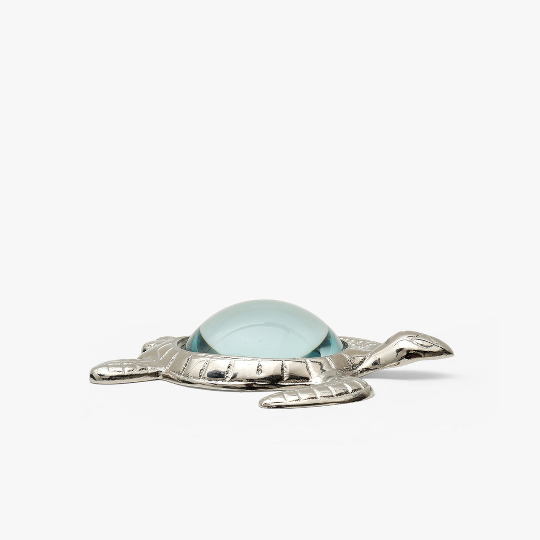 Sea Turtle Magnifying Glass