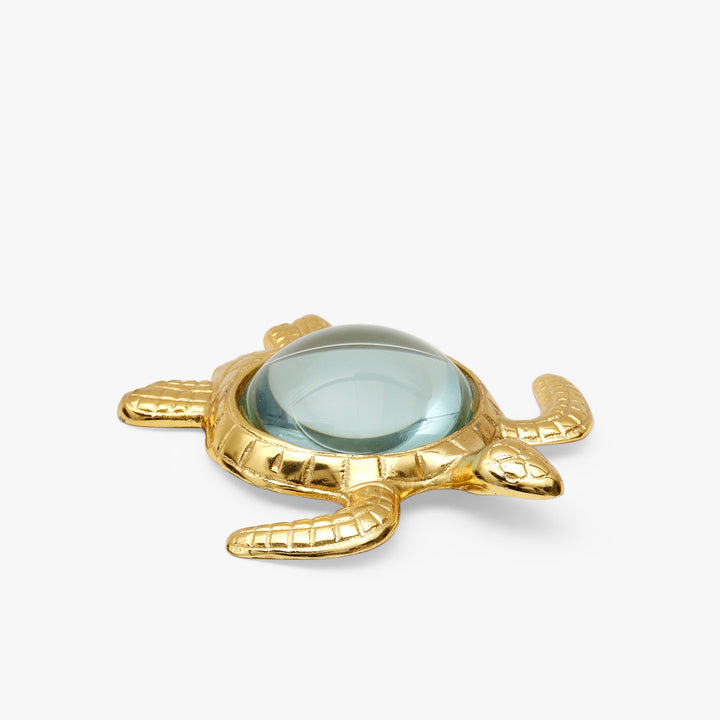 Sea Turtle Magnifying Glass