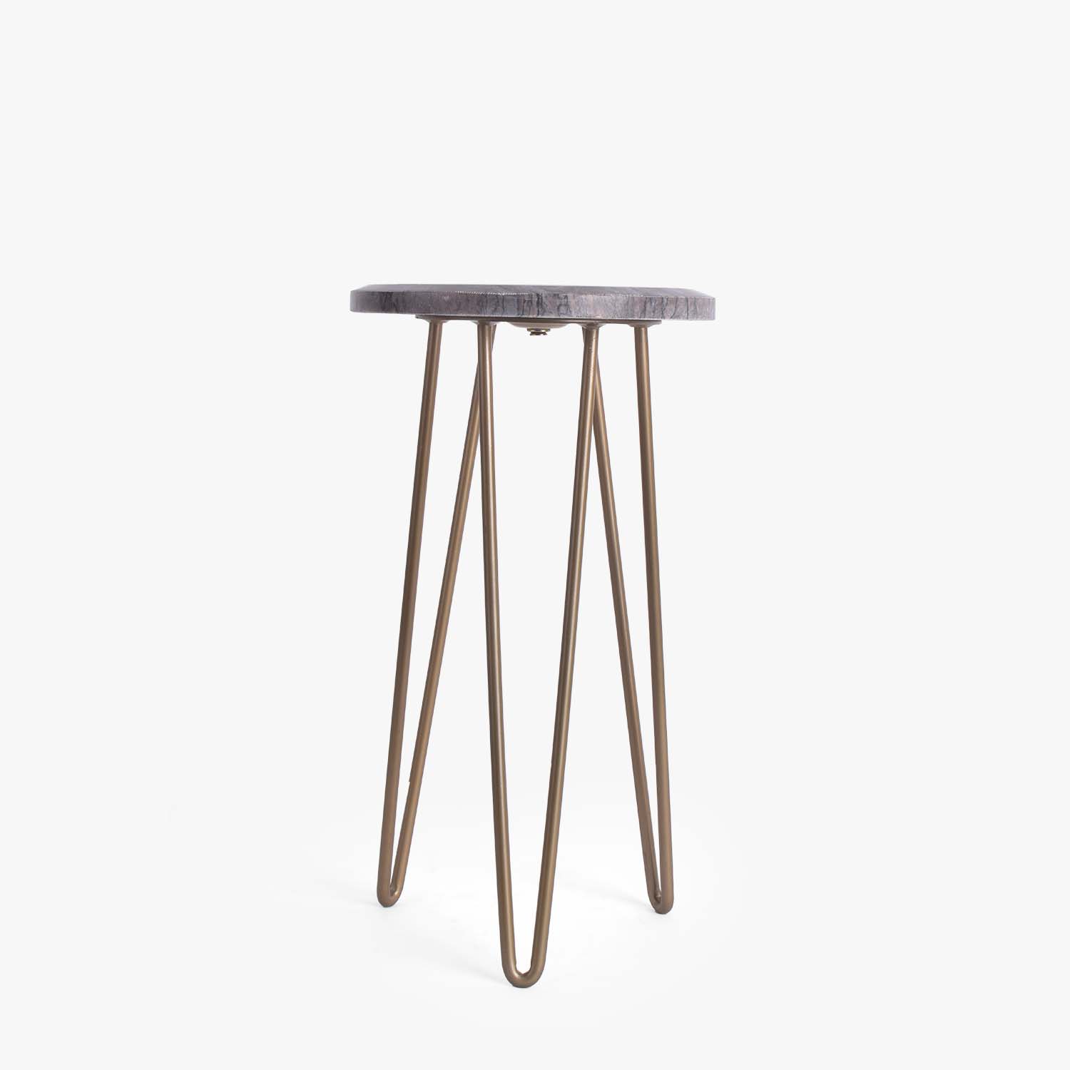 Sleek Plant Display Stand